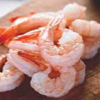 Shrimp Image