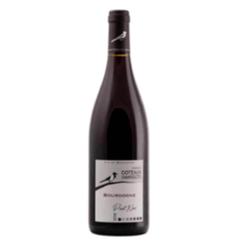 Bourgogne, Pinot Noir, Coteaux des Margots (Rouge) Large Image