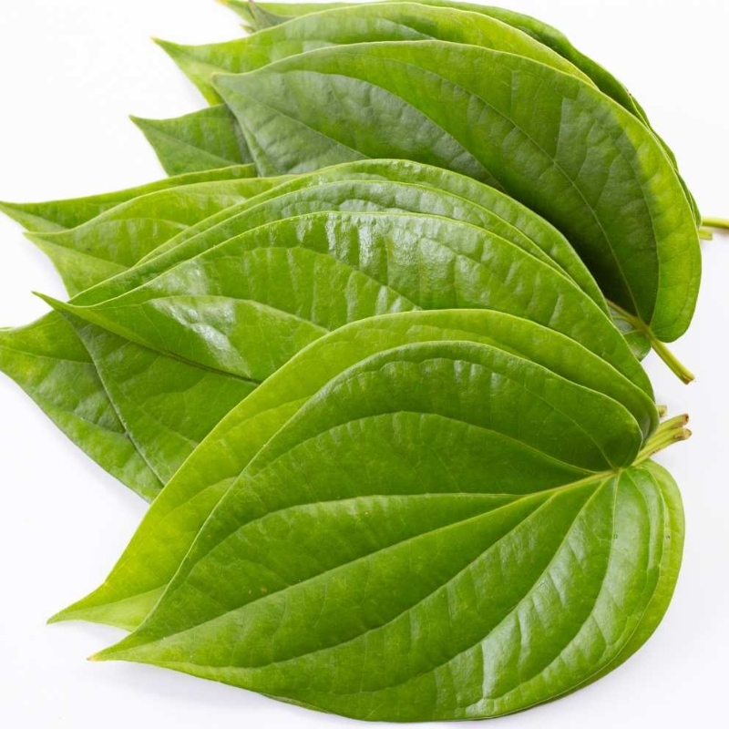 BETEL LEAVES (PACK OF 6)