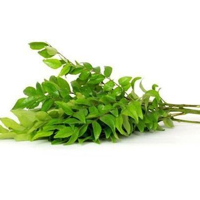 CURRY LEAVES BUNCH