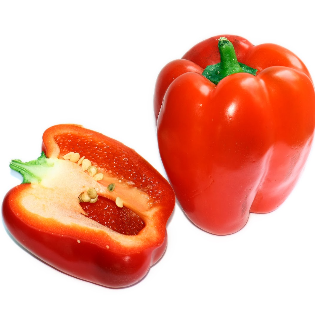 CAPSICUM RED