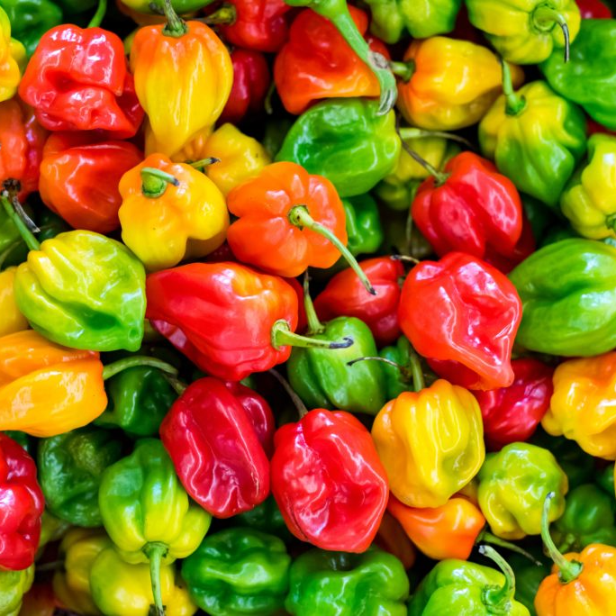 HOT PEPPERS