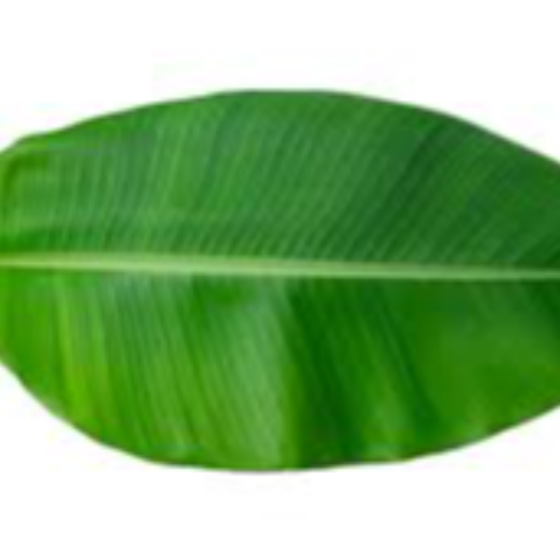 BANANA LEAF 1 PIC