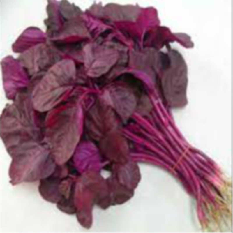RED THOTAKURA BUNCH 