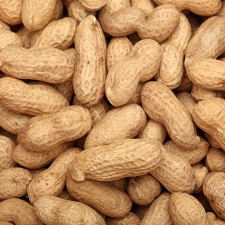 WHOLE GROUNDNUTS/PALLIKAYA