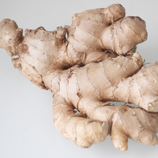 GINGER