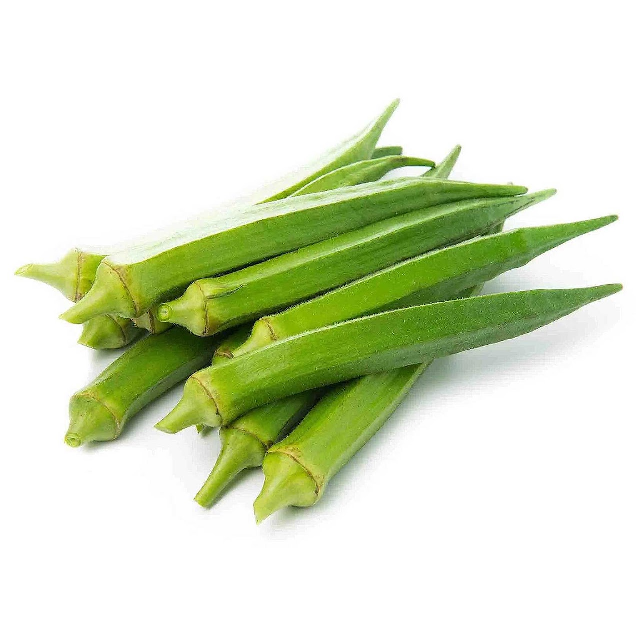 OKRA INDIAN