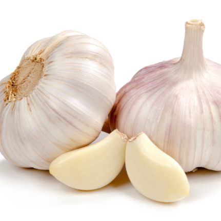 GARLIC