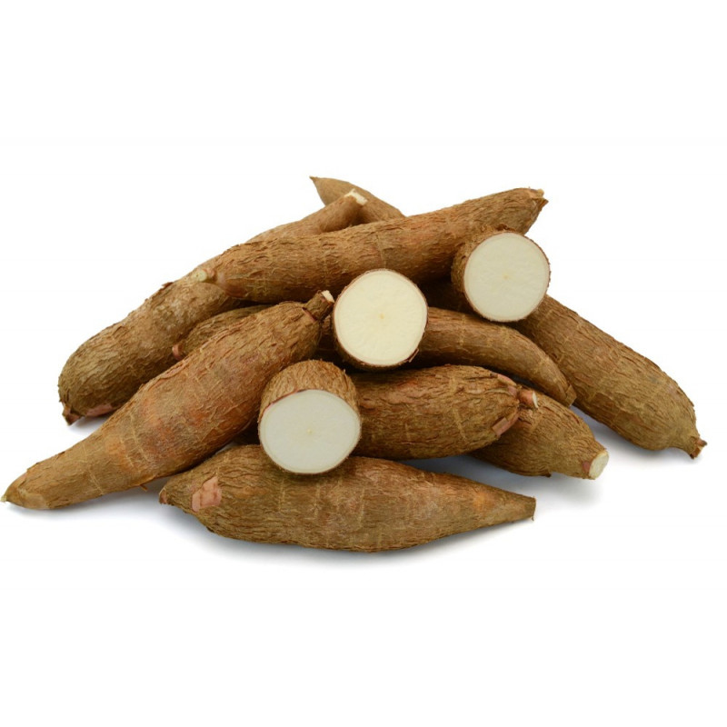 CASSAVA