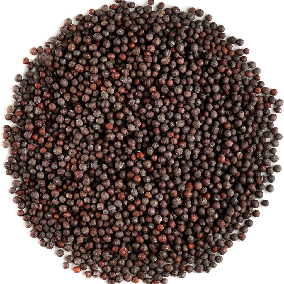 MUSTARD SEEDS 100G