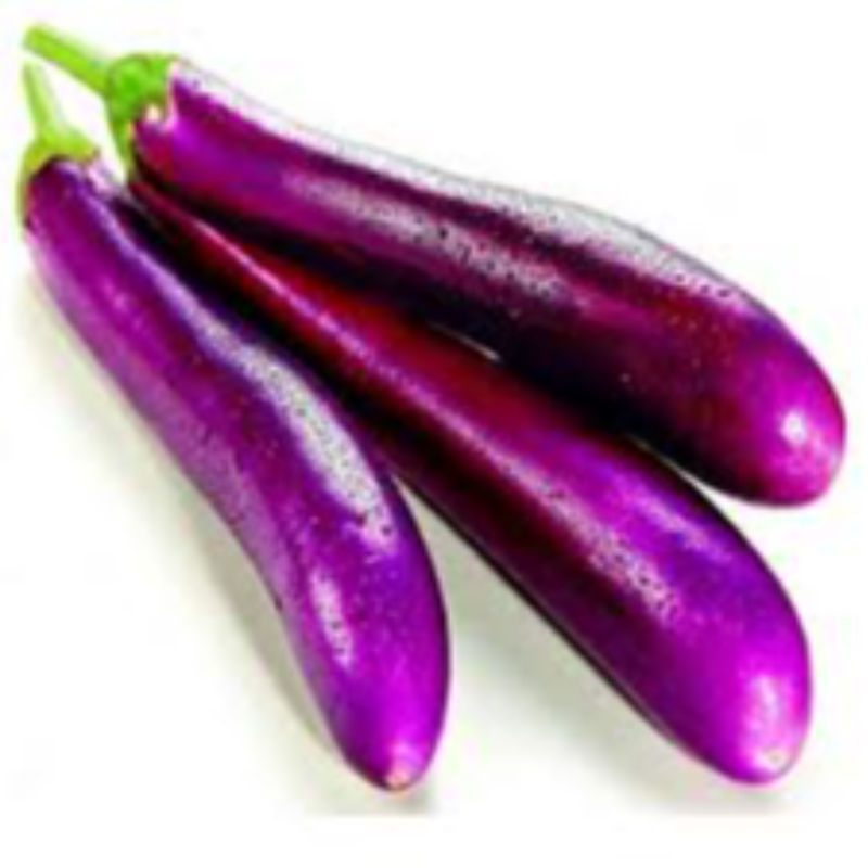 LONG AUBERGINE 