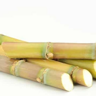 SUGARCANE RAW 