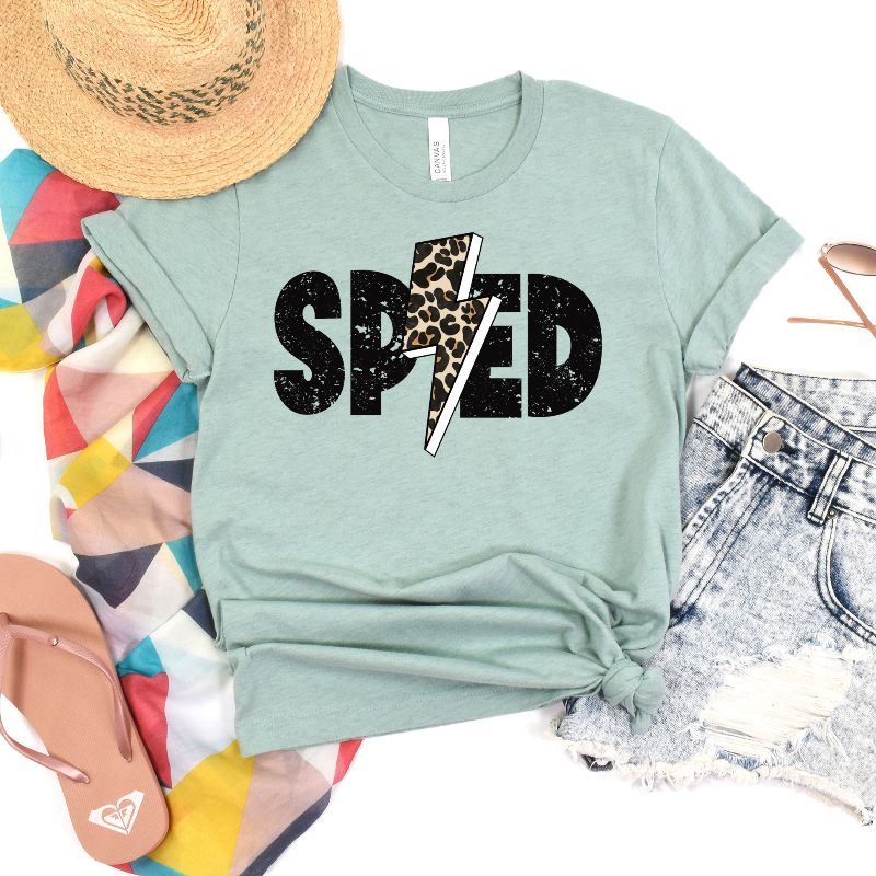 SPED Rocks (on dusty blue)