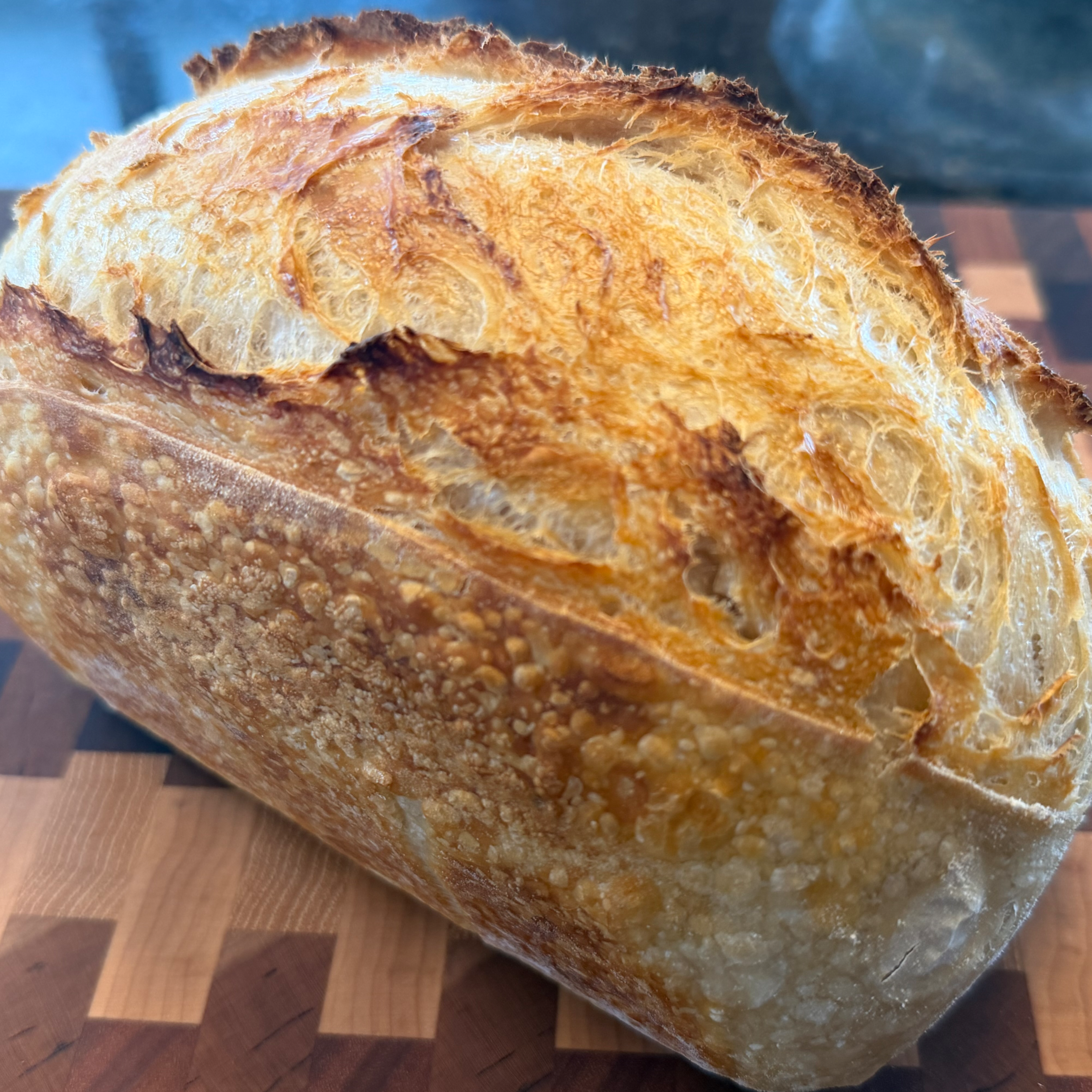 Plain Sourdough Loaf