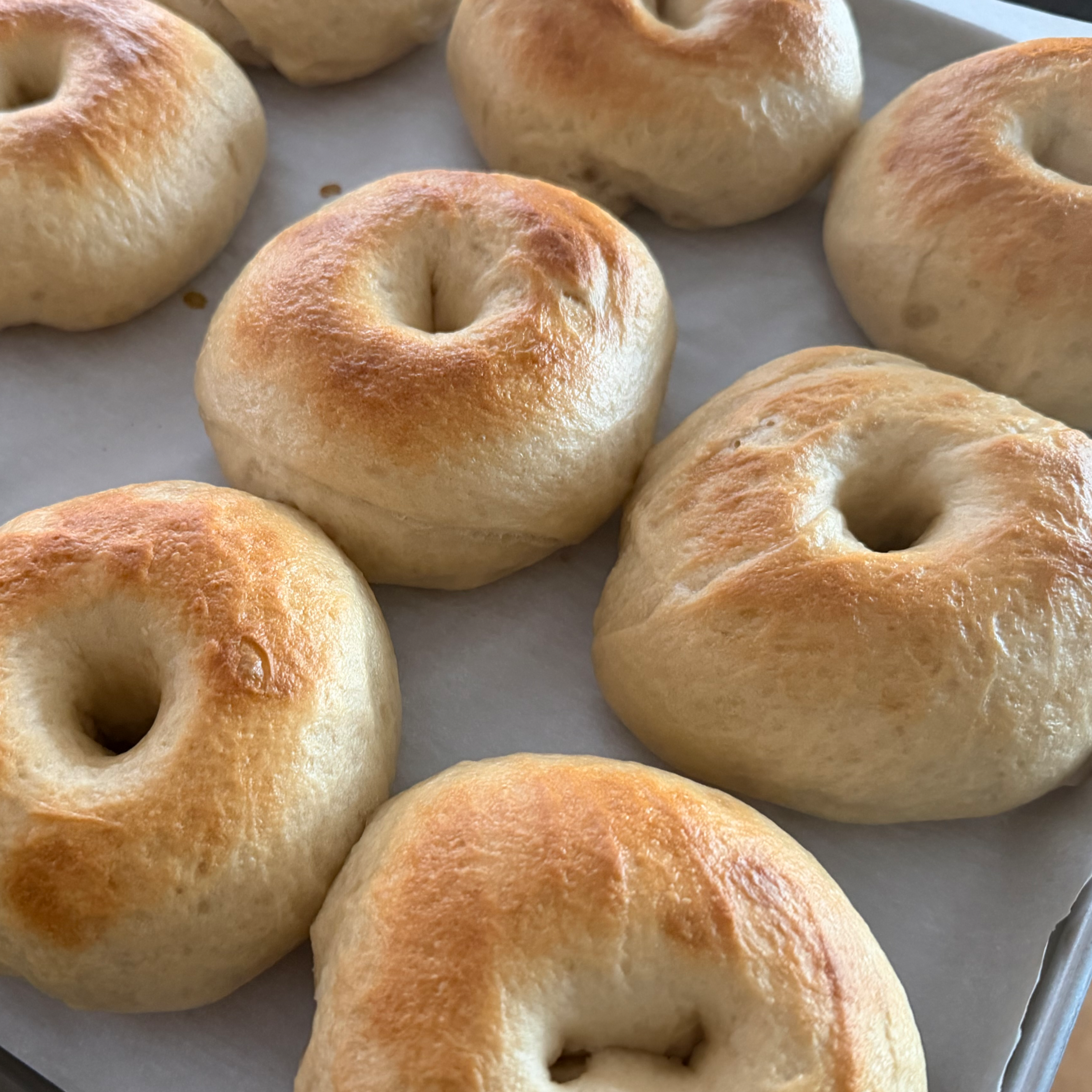 Plain Sourdough Bagels 
