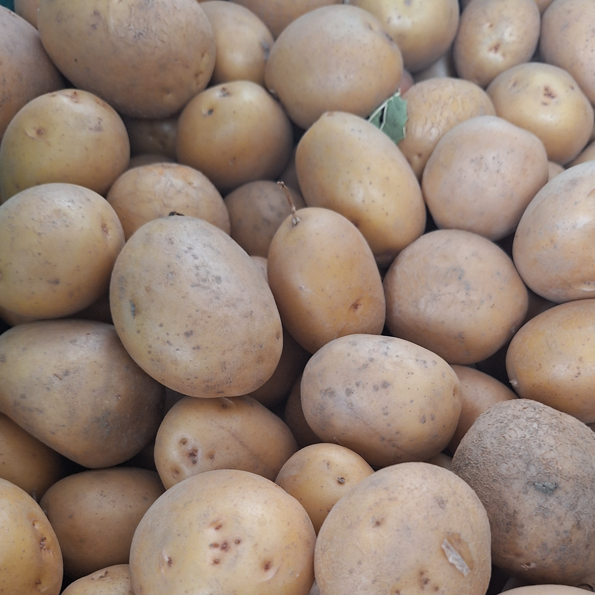 Πατάτα μικρή - Small Potato / 2kg