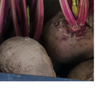 Παντζάρι - Beetroot  / 1kg