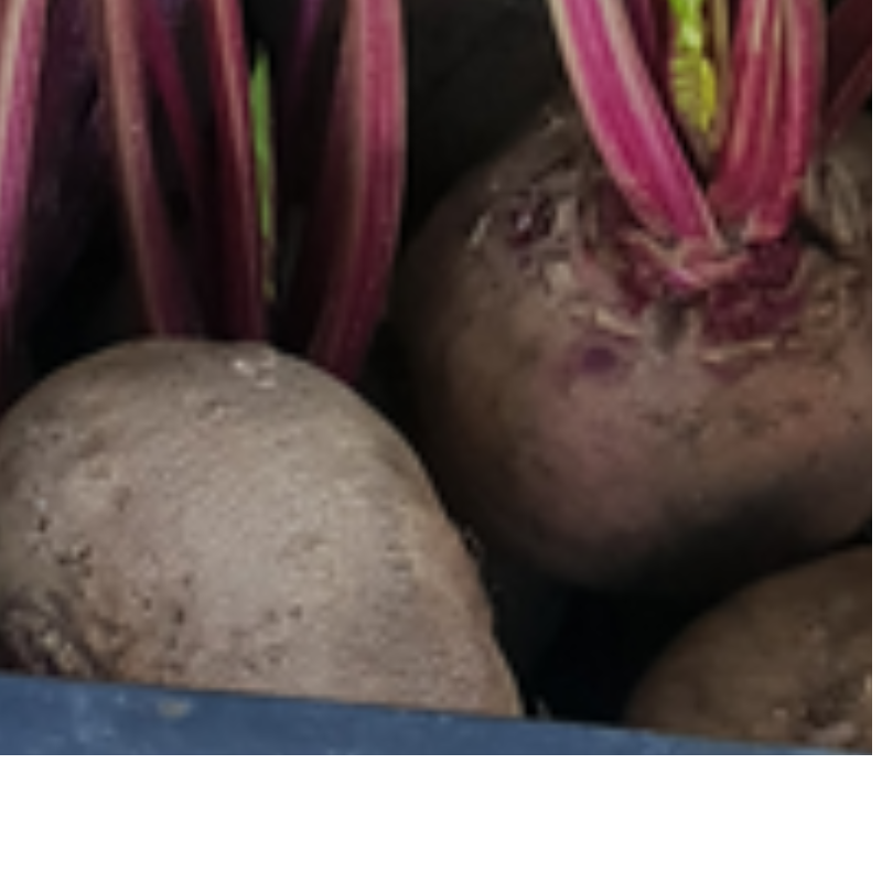 Παντζάρι - Beetroot  / 1kg