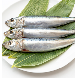 Sardine