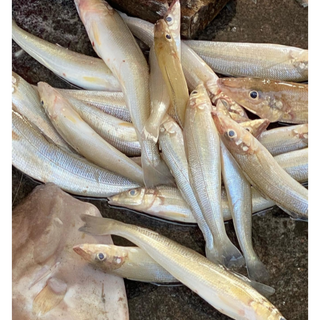 Lady Fish / Kilanga