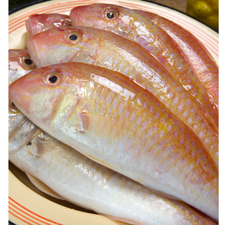 Threadfin