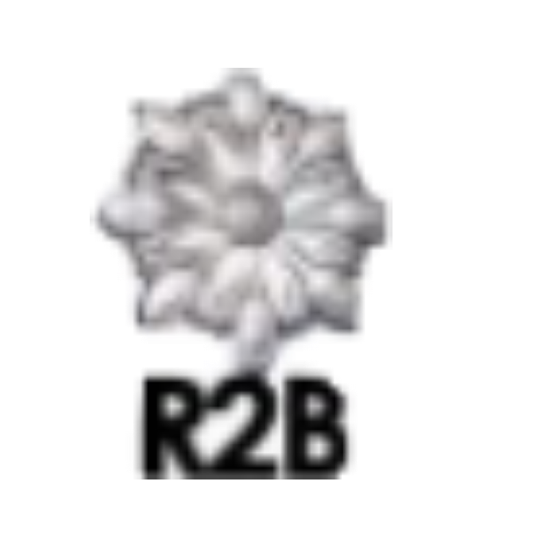 R2B Main Image