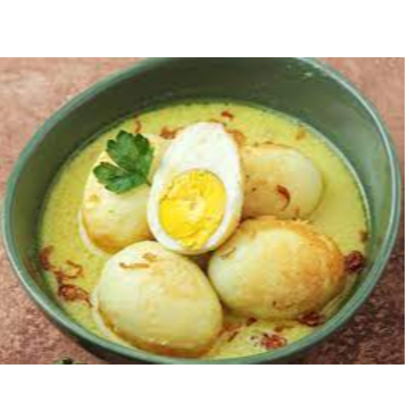 Nasi Telur Opor