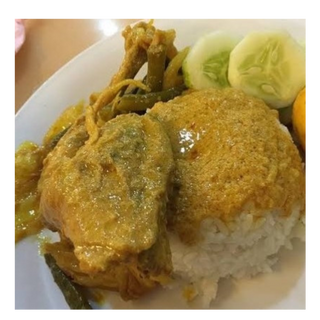 Nasi Ayam Opor