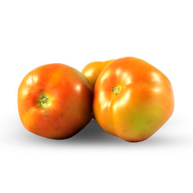 TOMATE CHONTO Main Image