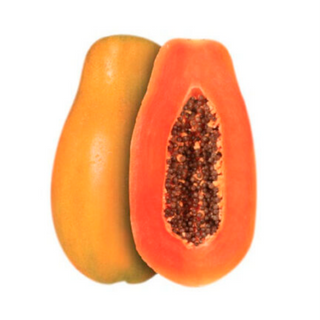 PAPAYA