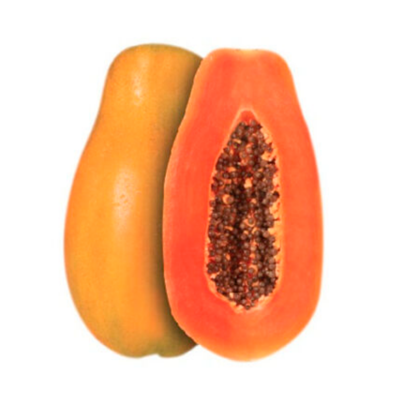 PAPAYA Main Image