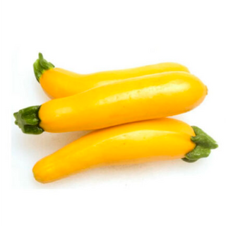 ZUCHINI AMARILLO