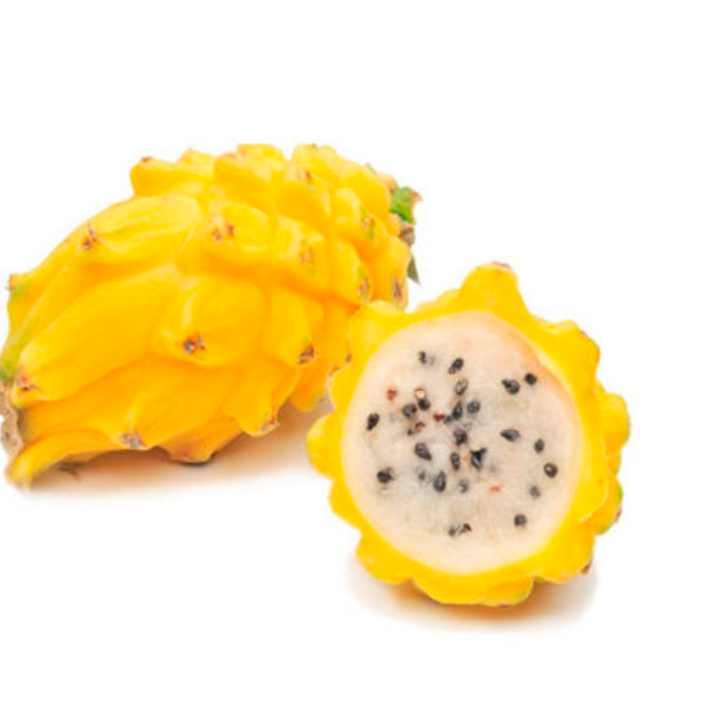 PITAHAYA Main Image