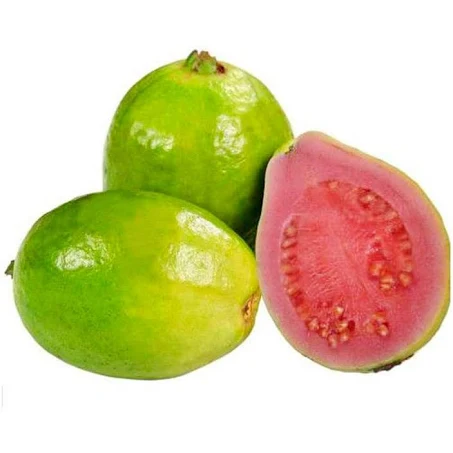 GUAYABA