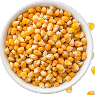 Popcorn Kernal Seeds 500 gm