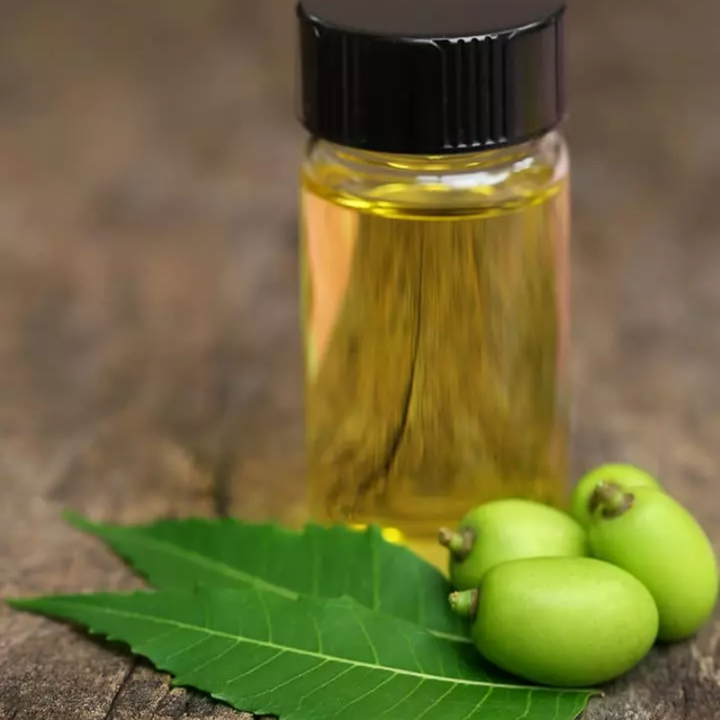 Neem Oil 200ml Main Image