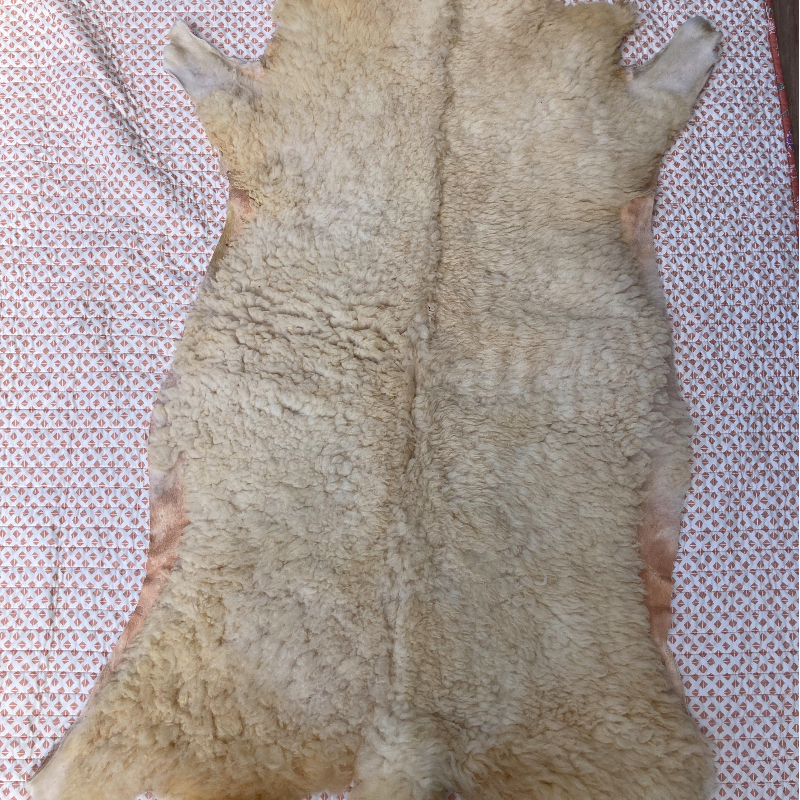 Bark Tanned Sheep Hide (#10, White)