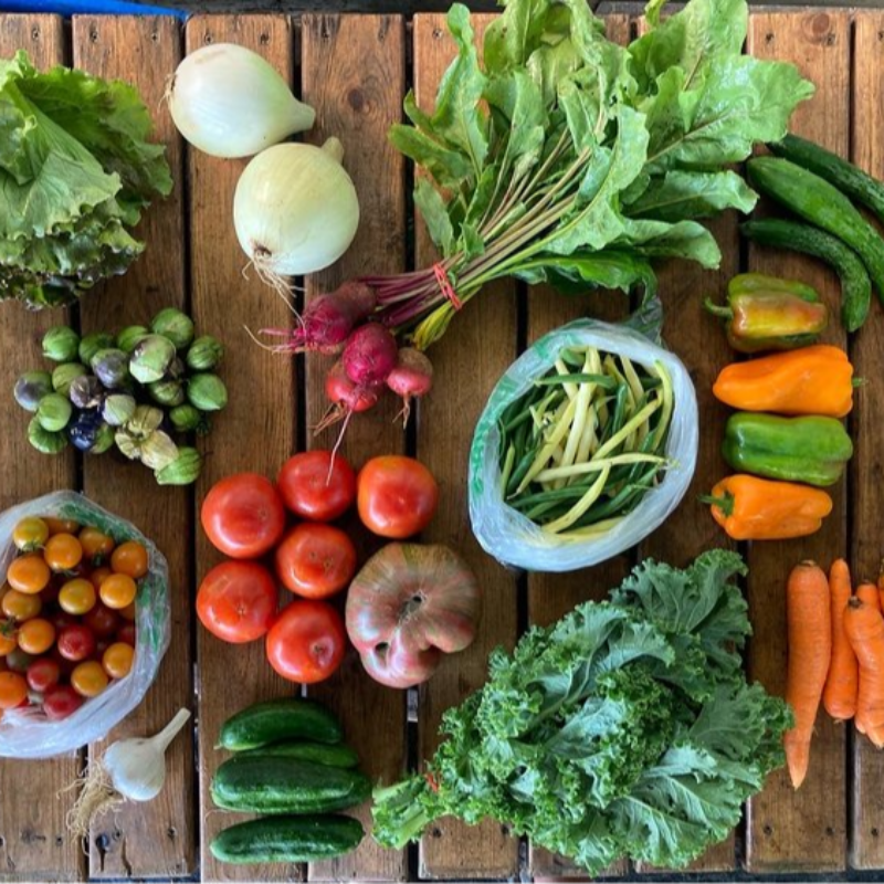 Large CSA Share - Summer Season