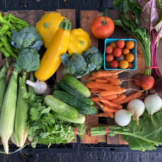 Large CSA Share - Summer Season