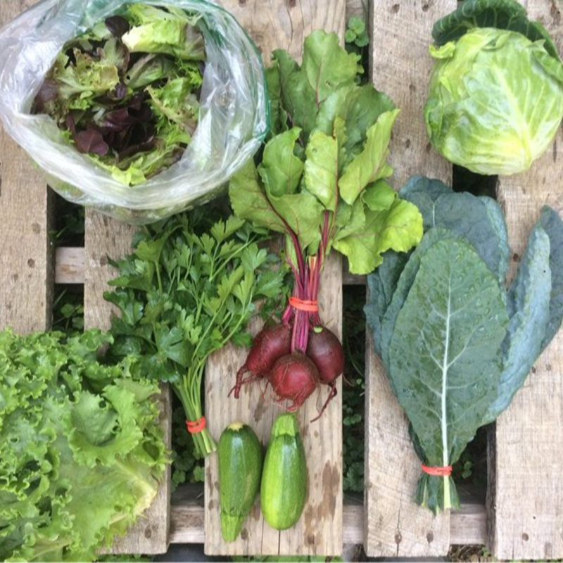 Small CSA Share - Summer Season