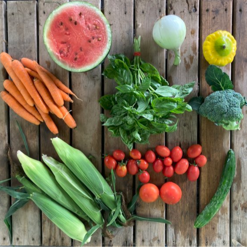 Small CSA Share - Summer Season
