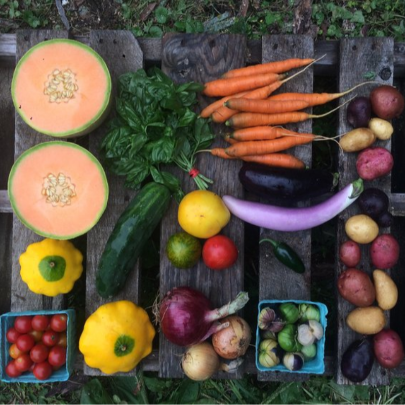 Small CSA Share - Summer Season