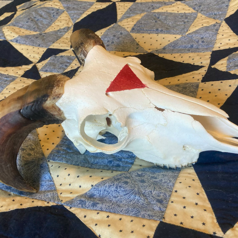 Painted Sheep Skull with Horns