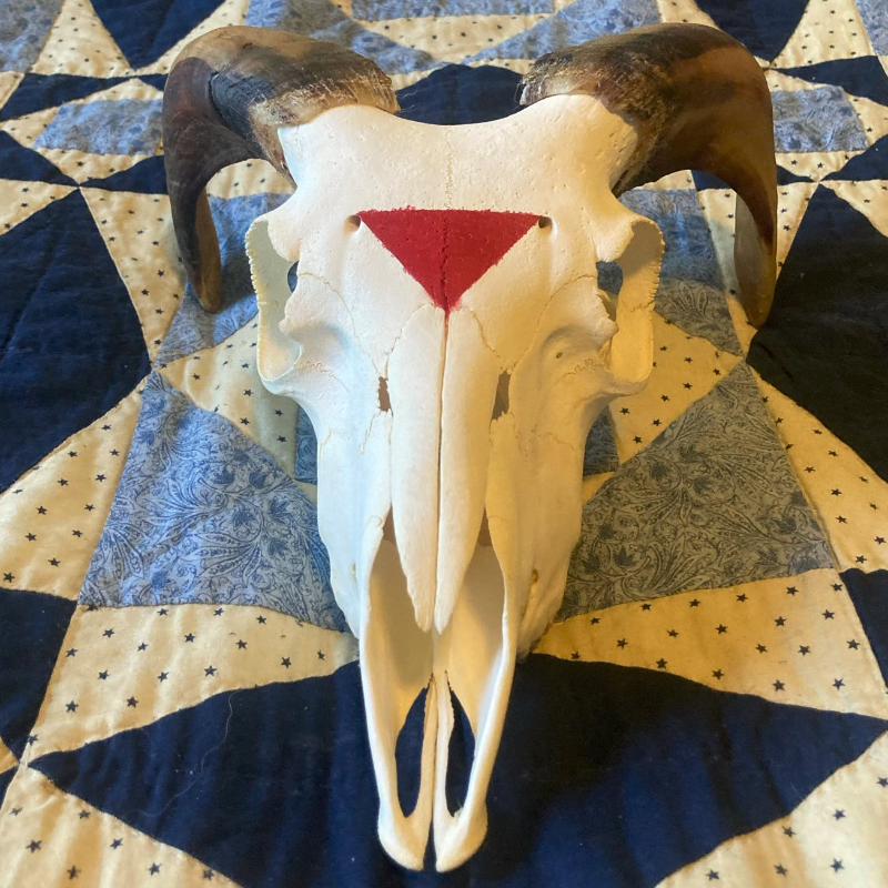 Painted Sheep Skull with Horns