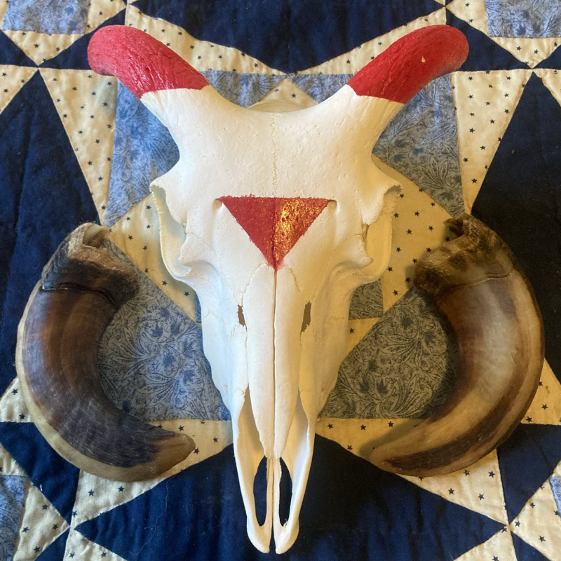 Painted Sheep Skull with Horns