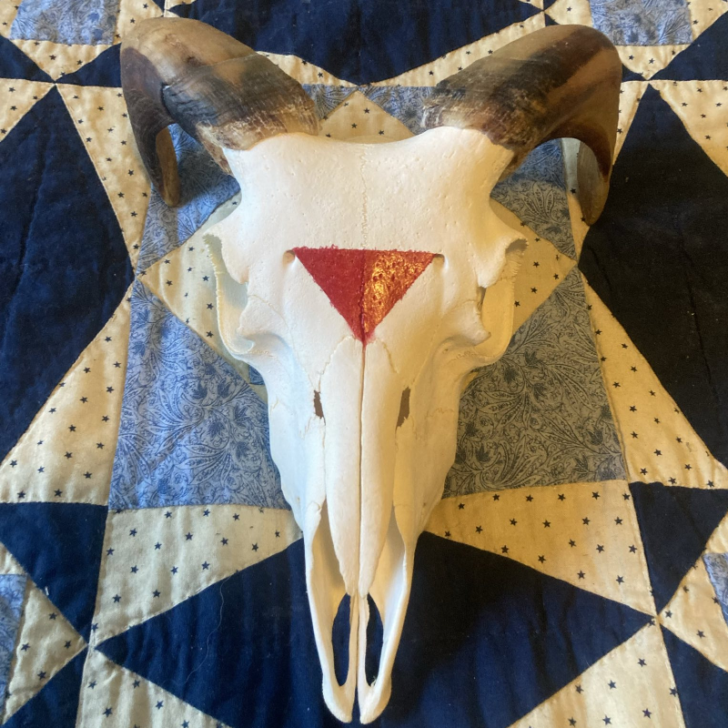 Painted Sheep Skull with Horns