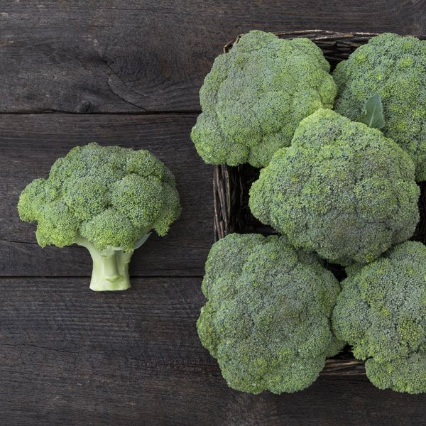 Broccoli Plants - 4 pack