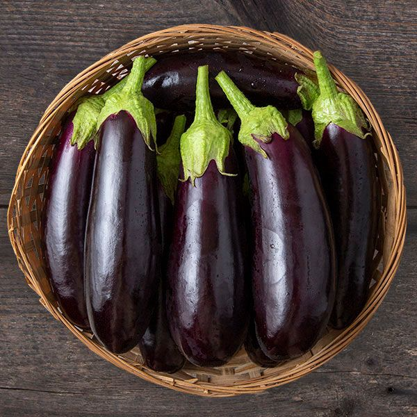 Eggplant plants