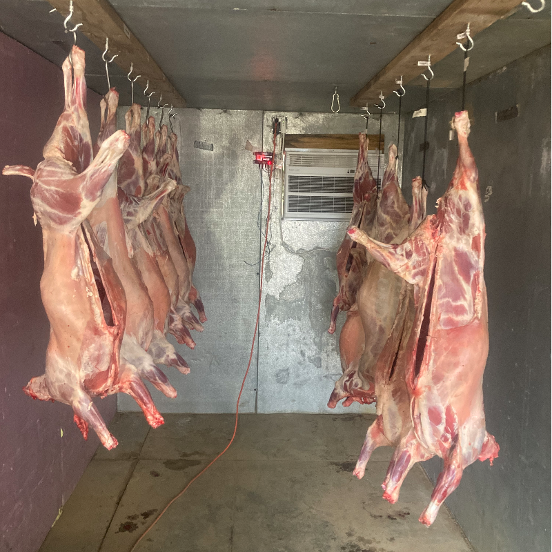 AFTERNOON 2025 Slaughter / Butcher Class Nov 8 & Nov 15, 1:00 pm - 6:00 pm