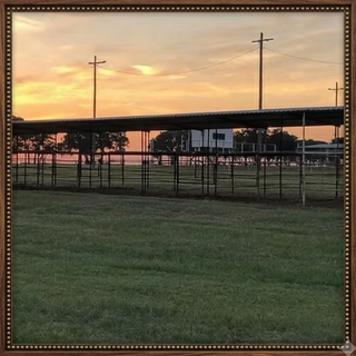 # of Horse Stalls Needed?